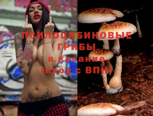 MDMA Нязепетровск