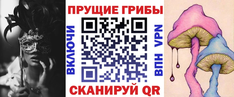 нарко площадка наркотические препараты наркошоп Ардатов Псилоцибиновые грибы мицелий