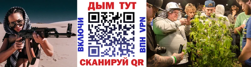Шишки марихуана гибрид  как найти наркотики  Ардатов 